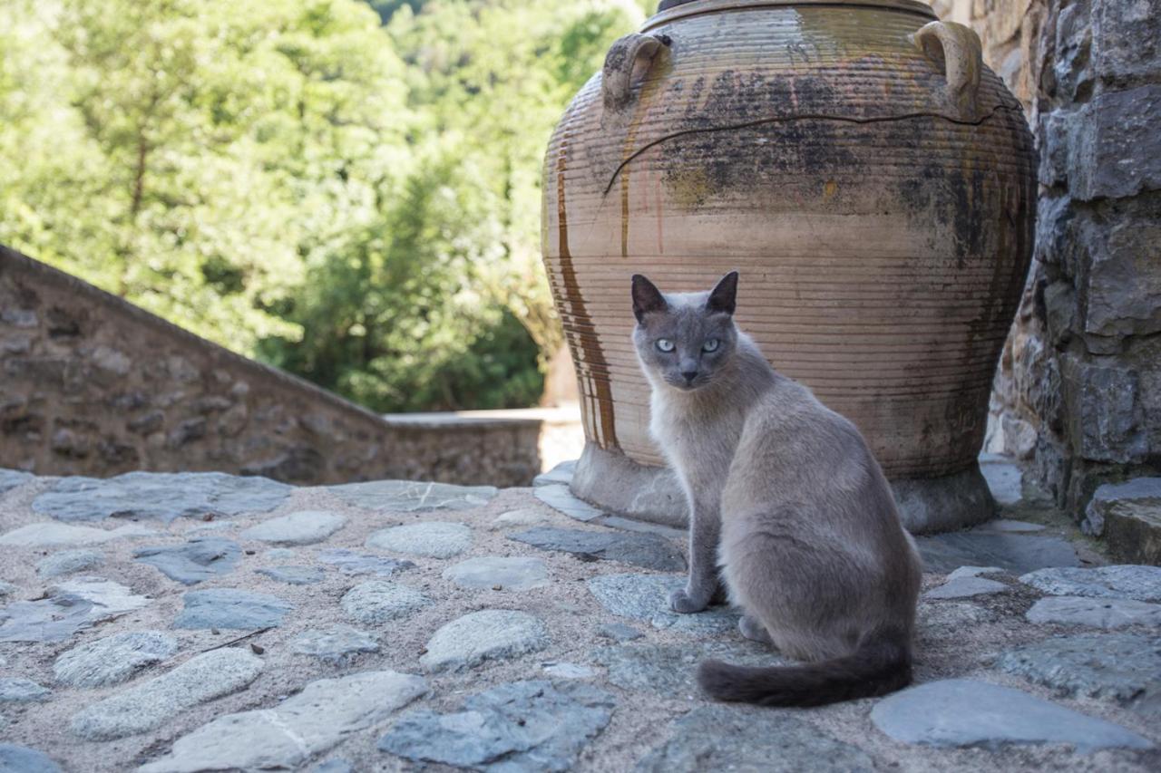 Can Criach Beget Kültér fotó